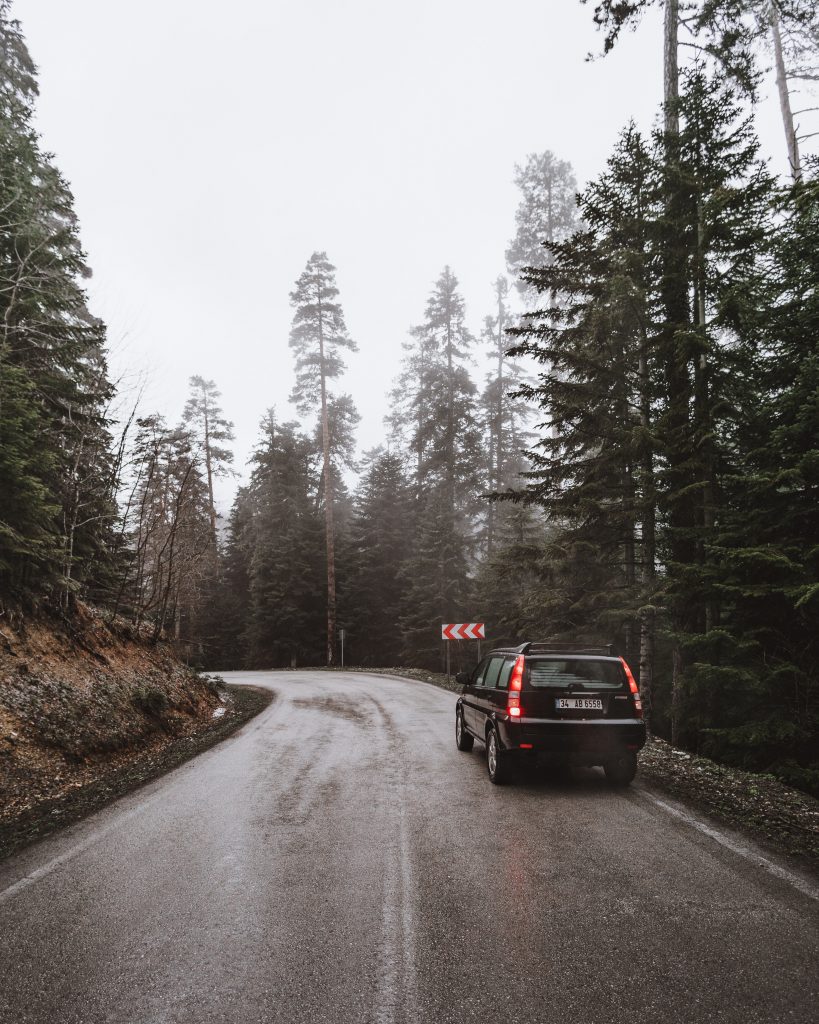 Does My Car Insurance Cover Falling Tree Limbs? Rate Rush